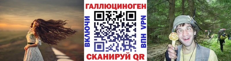 кракен вход  Бикин  сайты даркнета формула  Псилоцибиновые грибы мицелий 